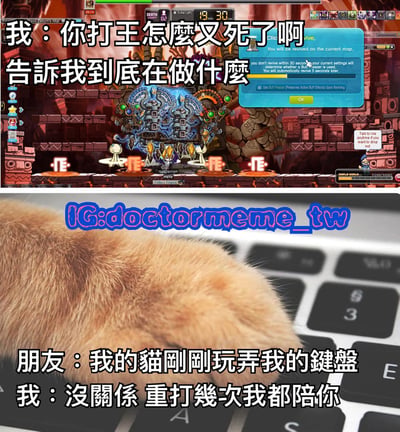 上图为游戏BOSS战斗场景，角色死亡弹出复活提示框，配文“我：你打王怎么又死了啊 告诉我到底在做什么”；下图为猫咪爪子放在键盘上的照片，配文“朋友：我的猫刚刚玩弄我的键盘 我：没关系 重打几次我都陪你”。通过上下对比展现游戏中队友死亡后用猫咪当借口的搞笑场景。