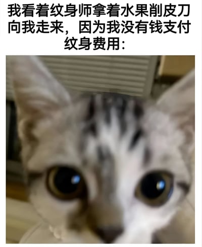 图片上方配有文字："我看着纹身师拿着水果削皮刀向我走来，因为我没有钱支付纹身费用："，下方是一张近距离拍摄的猫的脸部特写。猫咪有着灰白色的毛发和黑色条纹，它的眼睛瞪得很大，瞳孔收缩，表情看起来非常震惊和害怕，完美呼应了文字所描述的紧张情境。这种将动物表情与人类幽默情境结合的方式，创造出一种荒诞又搞笑的效果。