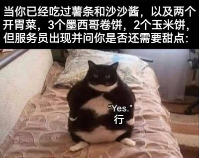 这张梗图以一只圆滚滚的黑白胖猫为核心形象，搭配上方的中文文字描述了一个极具共鸣的吃货场景：当你已经吃下了薯条、沙沙酱、两个开胃菜、3个墨西哥卷饼、2个玉米饼，肚子已经被填得满满当当，此时服务员上前询问是否需要甜点，图中的胖猫却拟人化地抱胸坐着，表情带着一丝倔强与坚定，给出了毫不犹豫的回答“Yes. 行”。整图通过夸张的进食量和胖猫诚实的反应，精准戳中了“嘴上说饱了但身体诚实地想吃甜点”的吃货心理，风格搞笑接地气，没有双关或谐音梗，纯粹用真实的吃货心态引发共鸣。