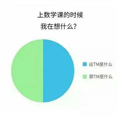 这是一张用于自嘲的图文混排静态单图，上方配有标题文字“上数学课的时候我在想什么？”，下方是一个被平均分为蓝、绿两部分的圆形饼图，蓝色区域标注文字“这TM是什么”，绿色区域标注文字“那TM是什么”。图片用直白粗俗的口语化表达，夸张地展现出数学基础薄弱或对数学课内容难以理解的学生，在数学课全程处于困惑、听不懂的状态，精准传递出这类学生面对晦涩数学知识时的无奈与烦躁，能够引发有类似上课经历的人群的强烈共鸣。