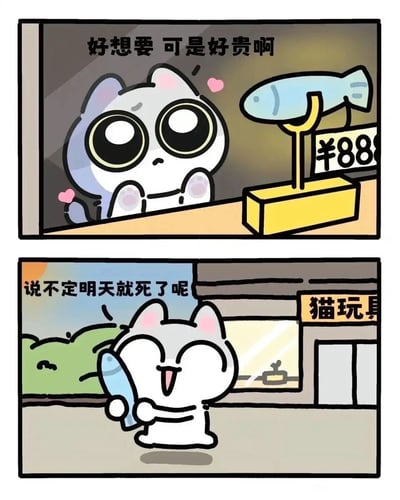 这是一幅由上下两格组成的连环卡通漫画，主角是一只软萌的小白猫。第一格画面中，小白猫趴在店铺的橱窗外侧，眼睛瞪得圆圆的，还冒出粉色爱心，一脸渴望地盯着橱窗里标价88元的鱼形猫玩具，内心纠结地念叨“好想要 可是好贵啊”，展现出对心仪玩具的喜爱和对价格的不舍。第二格画面里，小白猫已经抱着心仪的鱼玩具，开心地走出了写有“猫玩具”字样的店铺，它双眼眯成弯月，张开嘴巴兴奋地笑着，还自我安慰道“说不定明天就死了呢”，用一种戏谑又洒脱的心态说服自己买下了昂贵的玩具，以拟人化的方式调侃了当下部分人“及时行乐”的消费心态，内容轻松搞笑，容易引发共鸣。