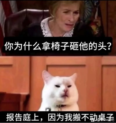 这是一张上下拼接的搞笑P图梗图，上半部分截取了美国法庭真人秀《法官朱迪》中法官的画面，法官表情严肃，配文“你为什么拿椅子砸他的头？”，模拟法庭上的质问场景；下半部分是知名网络梗图原型猫Smudge the Cat，被修改成鼻青脸肿的样子，放置在类似法庭的场景中，配文“报告庭上，因为我搬不动桌子”，以一种荒诞、理直气壮的逻辑回应质问，通过反差感制造出强烈的搞笑效果，常用于社交平台以无厘头的方式回应他人的质疑。