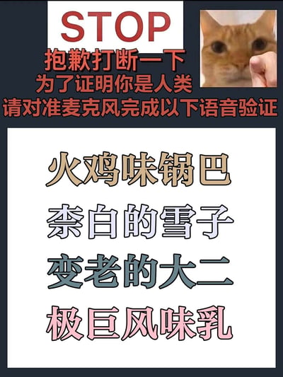 这是一张模仿线上人机语音验证形式制作的搞笑静态梗图，整体为竖屏图文混排格式。图中上方用醒目的红色文字搭配英文标题“STOP”，模拟系统提示语气，告知需要完成语音验证来证明是人类，右上角配有一张网络热门的橘猫被手指怼脸的表情包，增添搞笑氛围；下方用不同颜色的字体列出了四个带有绕口令性质、读起来容易嘴瓢的验证内容：火鸡味锅巴、奈白的雪子、变老的大二、极巨风味乳，用严肃的验证场景搭配无厘头的验证内容，制造强烈反差，达到搞笑效果，属于网络迷因类内容，常用于社交平台娱乐互动。