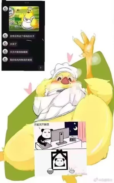这是一张多图拼接的整活梗图，由三部分组成：左上角是聊天记录截图，展示了用户讨论农场游戏里的围裙母鸡角色，发言包含“你有没有这个母鸡的本子”“太烧了”“天天对着我抛媚眼”“看的我鸡肉佬涨的难受”，其中“鸡肉佬涨”是“鸡儿胀”的谐音隐晦说法，属于低俗暗示玩梗；中间是将该游戏母鸡拟人化的二次创作图，母鸡脸红娇羞，躺卧着抬手，姿态暧昧；下方是两张熊猫头梗图，上方是熊猫头熬夜对着电脑，配文“不画完不睡觉”，下方是熊猫头被框在类似同人本子的框内，对应聊天中索要“母鸡本子”的内容，整体是网友结合游戏角色和“画同人本子”的梗进行的搞笑整活，用谐音和拟人化来制造戏谑效果。