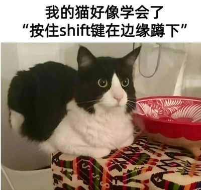 图片上方配有文字“我的猫好像学会了‘按住shift键在边缘蹲下’”，下方是一张真实拍摄的照片。照片中一只黑白相间的猫咪趴在铺有彩色花纹布料的表面上，旁边放着一个带有白色花纹的红色碗。猫咪睁着圆溜溜的大眼睛看向镜头，姿态慵懒地蜷缩在边缘位置。图片通过将猫咪的姿势幽默地类比为电脑操作中“按住shift键选择边缘区域”的动作，形成拟人化的搞笑效果，展现了宠物日常的可爱瞬间。