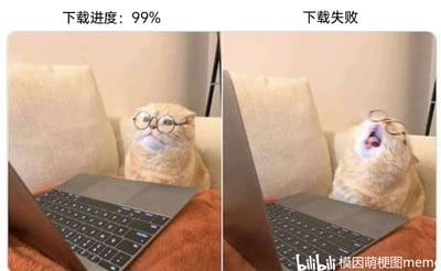 这是一张左右分栏的对比梗图，通过拟人化的宠物形象还原了人们使用电子设备时的糟心日常：左侧画面中，戴着眼镜的橘色猫咪正专注地盯着面前的笔记本电脑，上方配文“下载进度：99%”，猫咪的神态仿佛在满心期待下载完成；右侧画面里，猫咪大张着嘴、仰头露出崩溃的表情，上方配文“下载失败”，生动地表现出当下载即将完成却突然失败时的抓狂情绪，用真实宠物的神态变化放大了这种让所有人感同身受的崩溃瞬间。