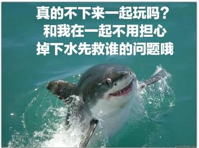 图片中是一只从水中跃起的鲨鱼，表情看似友好，上方配有文字：“真的不下来一起玩吗？和我在一起不用担心掉下水先救谁的问题哦”。这张图通过将鲨鱼拟人化，用幽默的方式调侃了情侣间常见的“掉下水先救谁”的难题，暗示与鲨鱼在一起时这个问题将不再重要（带有黑色幽默色彩）。