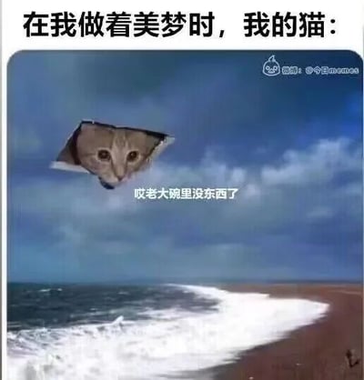 这是一张P图改编的搞笑作品，顶部配文“在我做着美梦时，我的猫：”，画面主体是海边风景照，天空位置被P出一个类似破洞的效果，一只猫咪的头部从这个破洞里探出来，下方配文模拟猫咪的语气说道“哎老大碗里没东西了”。图片用夸张的场景，生动还原了养猫人在睡梦中被猫咪催促喂食的日常，充满无奈又搞笑的氛围，能引发铲屎官群体的共鸣。