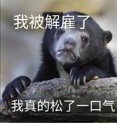 一张黑熊趴在木头上的图片，上方配有文字“我被解雇了”，下方配有文字“我真的松了一口气”。图片通过熊无奈的表情和矛盾的文字内容，形成了一种黑色幽默的效果，表达了一种对被解雇反而感到解脱的情绪。