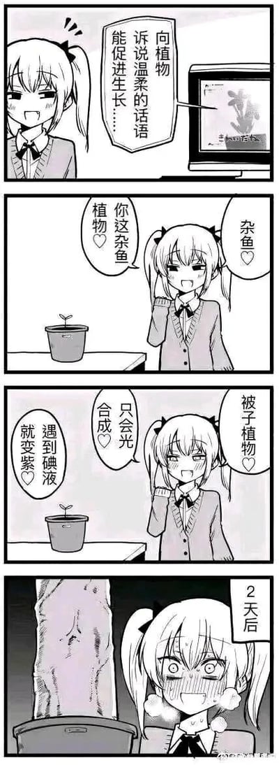 这是一则由四格组成的黑白卡通搞笑漫画，剧情围绕“温柔话语能促进植物生长”的科普内容展开反向玩梗。第一格中，双马尾卡通女生看着电脑屏幕里的科普内容“向植物诉说温柔的话语能促进生长……”，露出狡黠的坏笑，显然打算进行反向操作；第二格中，女生对着面前的小盆栽说出嘲讽性质的话语：“你这杂鱼♡ 植物♡”；第三格中，女生继续对着盆栽说出植物相关的硬核知识点：“被子植物♡ 只会光合成♡ 遇到碘液就变紫♡”；第四格标注“2天后”，原本的小盆栽竟然长成了突破画面的巨大植株，女生则双眼圆睁、满脸泪水，露出惊恐崩溃的表情。整个漫画通过反向操作的荒诞结果制造出强烈的喜剧反差，将科普知识以搞笑的方式进行解构，带来趣味十足的观看体验。