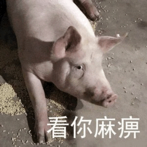躺地猪配文调侃梗图