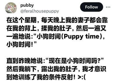 这是一张Twitter（现X平台）截图，用户pubby（@feralhousepuppy）分享了一则夫妻间的搞笑日常：本周每天晚上妻子都会靠在他背上揉肚子，并反复说“小狗时间（Puppy time）”。直到昨晚妻子问“现在是小狗时间吗？”，他下意识躺下露肚子，才发现自己被训练出了条件反射，结尾配了个无奈又好笑的表情>:(