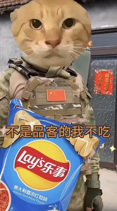 图片中一名身着迷彩军事装备的人员，胸前佩戴印有中国国旗的补丁，双手捧着一袋蓝色包装的乐事意大利香浓红烩味薯片。其面部被趣味替换成一只表情严肃的橘猫脸，形成强烈的视觉反差。图片下方配有黄色文字“不是品客的我不吃”，通过军事严肃形象与猫咪可爱面容、乐事薯片与品客品牌的对比制造幽默效果。背景中可见带有传统红色春联的门，暗示中式生活场景，进一步增强画面的生活化与趣味性。