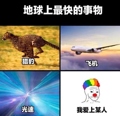 一张四格拼接梗图，标题为“地球上最快的事物”。左上格是奔跑的猎豹，标注“猎豹”；右上格是飞行的飞机，标注“飞机”；左下格是蓝色光效，标注“光速”；右下格是彩虹头发的小丑脸，标注“我爱上某人”。通过递进式对比物理速度（猎豹、飞机、光速），最后以“爱上某人”的情感速度制造幽默反差，调侃爱情发生之快。