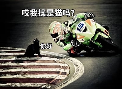 一张赛车场景的搞笑图片，画面中一名穿着绿色赛车服的摩托车手正在赛道上高速转弯，车身倾斜几乎贴近地面。在弯道内侧，一只黑猫正淡定地坐在赛道上，形成鲜明对比。图片上方有摩托车手的台词“哎我操是猫吗?”，表达了突然发现前方障碍物的惊讶和慌张，而黑猫下方则配有“你好”的文字，形成幽默的对话效果。这种高速运动与静止、人类的惊慌与动物的淡定之间的反差，创造出强烈的喜剧效果。