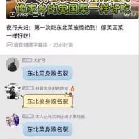 这是一张社交媒体评论区的截图，顶部用户“夜行火车”发布评论称“第一次吃东北菜被惊到！像英国菜一样好吃！”，下方三条评论重复发送“东北菜身败名裂”，通过玩梗的方式调侃这条评价。由于网络上英国菜常被调侃为口味不佳，将以量大味浓著称的东北菜与英国菜类比，形成强烈反差，制造出搞笑的吐槽效果。
