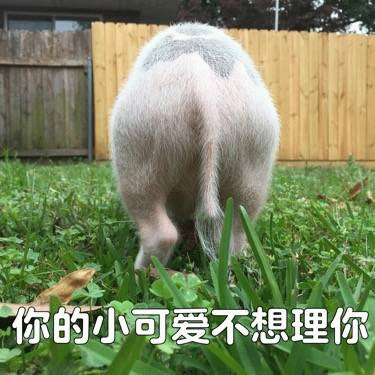 你的小可爱不想理你