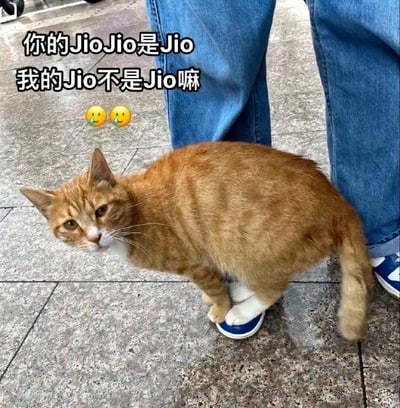 图中是一只橘白相间的真实猫咪，它将自己的爪子踩在人的蓝白拼色鞋子上，身体倚靠在人的牛仔裤腿旁，眼神看起来委屈巴巴。图片上方配有文字“你的JioJio是Jio 我的Jio不是Jio嘛”，还附带两个委屈流口水的表情。这里运用了拟人化的手法和谐音梗，“JioJio”是网络上对“脚”的可爱称呼，猫咪把自己的爪子类比成“Jio”，以撒娇的姿态表达想要被关注、获得同等对待的诉求，整体画面软萌又搞笑，传递出委屈撒娇的情绪，十分治愈。