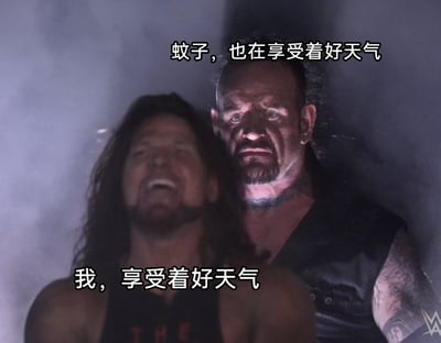 这是一张网友二次创作的WWE梗图，画面截取了WWE赛事中的场景，前景是AJ·斯泰尔斯仰头张嘴，表情放松享受，配文“我，享受着好天气”，代表自己在好天气里的惬意状态；后方是表情严肃、眼神紧盯的送葬者，配文“蚊子，也在享受着好天气”，用送葬者的压迫感隐喻蚊子叮咬自己时的“享受”，通过人物状态的强烈反差，搞笑地吐槽了在好天气时被蚊子骚扰的无奈日常，精准戳中人们在夏季遇到的常见小烦恼。