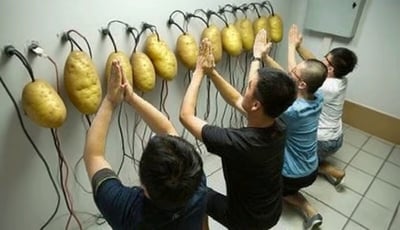 图片中四位男性正跪在铺有白色瓷砖的地面上，他们面向一面白墙，双手合十举过头顶，做出类似朝拜的动作。墙上整齐排列着11个黄色土豆，每个土豆都连接着黑色和红色的电线，电线另一端固定在墙上。整个场景看起来像是一场刻意设计的荒诞行为艺术，人物表情专注，动作一致，与墙上的土豆形成强烈的视觉反差，充满了幽默和迷惑感。