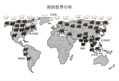 这是一张以世界地图为背景的科普卡通图，清晰标注了全球8种熊科动物的分布区域：
1. **北极熊**：分布在北极圈周边的北美洲北部、欧洲北部、亚洲北部区域；
2. **美洲黑熊**：栖息在北美洲大部分区域；
3. **眼镜熊**：仅分布在南美洲南部；
4. **棕熊**：广泛分布在北美洲、欧洲、亚洲的温带与寒带区域；
5. **大熊猫**：仅在中国特定区域栖息；
6. **亚洲黑熊**：分布在亚洲东部与南部区域；
7. **懒熊**：栖息在南亚区域；
8. **马来熊**：分布在东南亚及周边岛屿区域。
图中用对应外观的卡通熊形象标注在对应地图区域，直观展示各类熊科动物的地理栖息地，无谐音梗、双关或暗示内容。