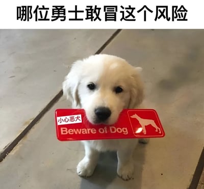 图片中是一只可爱的白色幼犬（疑似金毛巡回犬），正坐在灰色的地面上，嘴里叼着一块红色的‘小心恶犬’警示牌。警示牌上有中文‘小心恶犬’和英文‘Beware of Dog’字样，以及一个狗的剪影图案。图片顶部有一行醒目的黑色粗体文字：‘哪位勇士敢冒这个风险’。整体通过可爱的幼犬与‘恶犬’警示牌之间的强烈反差制造幽默效果，萌态十足又引人发笑。