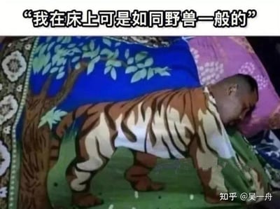 这是一张利用视觉错位制造搞笑效果的梗图。图上方配有文字“我在床上可是如同野兽一般的”，画面中一个小孩的头枕在枕头上熟睡，其身体位置恰好和床单上的老虎图案完全重合，从视觉上看就像小孩拥有了老虎的身体，完美呼应了“如同野兽一般”的文字描述，通过字面化的视觉呈现制造出滑稽的反差感，属于玩了文字和视觉的双关梗。