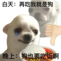 这张梗图采用一只面露委屈、眼角带泪的白色小狗表情包为主体，上方搭配文字“白天：再吃我就是狗”和一个向下的大拇指手势，表现出白天下定决心控制饮食的决绝态度；下方则配文“晚上：狗也要吃饭啊”，小狗面前摆放着食物，生动还原了许多人白天信誓旦旦要自律节食，到了夜晚就忍不住破功、放弃克制的真实日常，通过前后强烈的反差制造出搞笑的效果，精准戳中很多人管不住嘴的共鸣点。