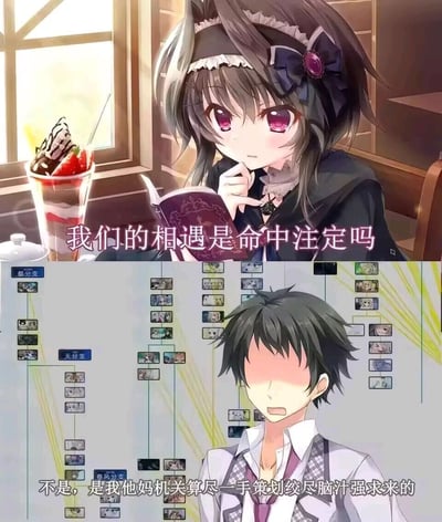 这是一张上下拼接的二次元搞笑梗图，上半部分呈现的是一位有着紫粉色眼眸、深色短发的哥特风格二次元女性角色，她托着下巴，身处摆放着甜品的温馨室内场景中，配文“我们的相遇是命中注定吗”，营造出浪漫的少女感氛围；下半部分是一位脸颊泛红、表情崩溃抓狂的二次元男性角色，他的身后是美少女游戏（GALGAME）中极其复杂的多分支剧情路线图，配文“不是，是我他妈机关算尽一手策划绞尽脑汁强求来的”，通过上下强烈的反差感，调侃GALGAME玩家为了攻略到心仪的女性角色，需要在错综复杂的剧情分支里反复尝试、精心规划路线，所谓的“命中注定”相遇，其实是玩家花费大量精力刻意达成的结果。