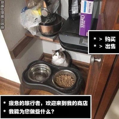 一只灰白相间的猫咪平静地坐在角落，身旁是一个双格食盆——一格空置（疑似水盆），另一格装满猫粮。上方的木质货架摆放着日常杂物：金属碗、塑料袋、一盒紫色包装的Cheerios麦片和黑色电器。图片右侧有黑色文本框标注“购买”“出售”选项，底部文本框写着“疲惫的旅行者，欢迎来到我的商店 我能为您做些什么?”，将猫咪拟人化为商店店主，营造出幽默可爱的场景。左侧可见“微博@野猪川苦茶”水印。