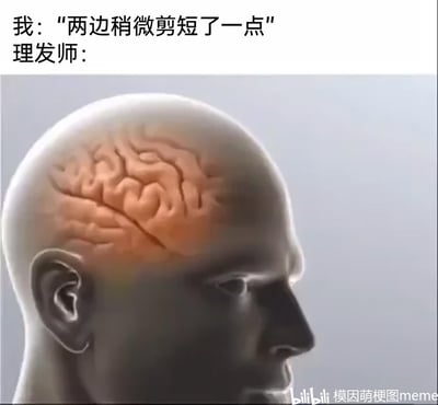 这是一张吐槽理发师与顾客理解偏差的搞笑梗图。图中上方配有文字对话：“我：‘两边稍微剪短了一点’ 理发师：”，下方是一个3D渲染的人类头部侧面模型，该模型的头皮部分呈现透明效果，直接露出内部的大脑结构，用极度夸张的方式表现理发师完全误解了顾客“稍微剪短两边头发”的要求，将头发剪得精光，甚至用露出大脑的极端画面放大这种理解偏差，以此引发有过类似理发经历的人的共鸣，吐槽理发时常见的审美与理解不一致的尴尬日常。