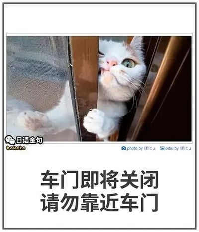 暂无描述