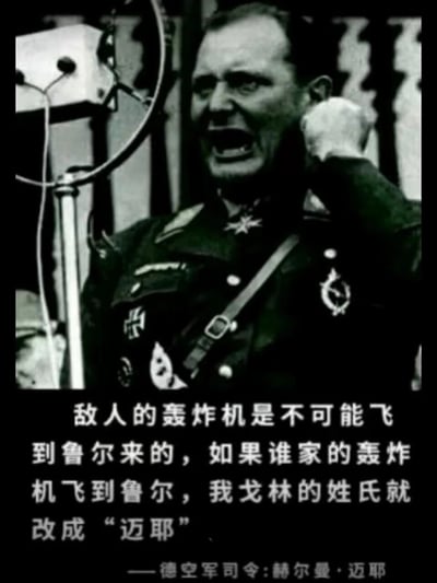 这是一张基于二战历史照片创作的讽刺梗图，图中人物是纳粹德国空军司令赫尔曼·戈林，他身着带有多枚勋章的军装，正情绪激昂地进行公开演讲，嘴巴大张，左手握拳抬起以强调自己的观点。图下方配文是戈林曾发表的狂妄言论：“敌人的轰炸机是不可能飞到鲁尔来的，如果谁家的轰炸机飞到鲁尔，我戈林的姓氏就改成‘迈耶’”，但图的最后却标注他的头衔与名字为“德空军司令:赫尔曼·迈耶”，这是因为后续盟军的轰炸机成功对鲁尔区实施了大规模轰炸，戈林的言论彻底落空，这张图借此讽刺他的自大与失言。