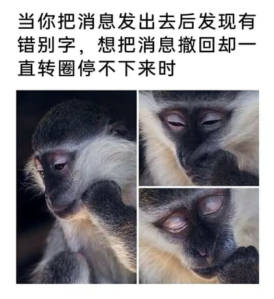 这是一张图文混排的多图拼接表情包，上方配有文字：“当你把消息发出去后发现有错别字，想把消息撤回却一直转圈停不下来时”，下方由三张猴子的照片拼接而成，分别展现了猴子愁眉紧锁、闭眼捂嘴、双眼紧闭的神态，猴子还用手放在脸部附近，生动地还原了人们在使用社交软件时，发现消息有错别字想要撤回却遇到加载卡顿，担心错误内容被他人看到的焦虑、烦躁又无奈的心情，是对日常社交尴尬场景的趣味化调侃。
