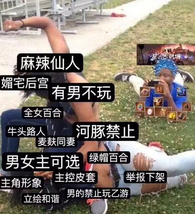 这是一张用国外真人搞笑meme模板改编的梗图，用来吐槽乙女游戏圈子里的各种极端要求和内部矛盾。图中一个人被一堆代表各类奇葩规矩的“要求”按倒在地，旁边却有一个玩家淡定地玩着《最终幻想14》（FF14）的绝本（图中是FF14的“決戦 星の古戦場”绝本界面和毕业装备），完全无视身边的纷争。那些覆盖在人物身上的标签都是乙游圈子里的各类极端言论：比如“男的禁止玩乙游”“有男不玩”“河豚禁止”（指禁止牛头人类内容）“麦麸同妻”“举报下架”“立绘和谐”等，还有对游戏内容的苛刻要求，比如“全女百合”“男女主可选”“主控皮套”，甚至还有极端的举报行为，整体用反差感讽刺乙游圈子里的各种奇葩规矩和内斗，突出沉迷游戏本身的玩家与圈子纷争的脱节。