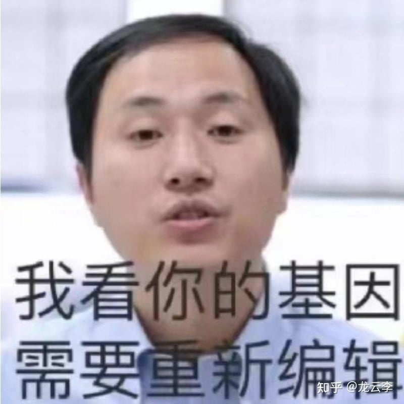 贺建奎