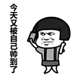 今天又被自己帅到了 动态表情包