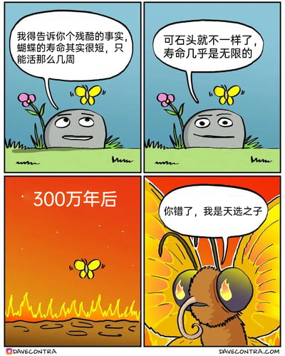 这是一组四格连环卡通漫画，采用带对白气泡的形式呈现。第一格中，带着得意说教表情的石头在草地上对着普通蝴蝶说话，告知蝴蝶其寿命仅有几周；第二格石头继续炫耀自身寿命几乎无限；第三格场景跳转至300万年后，地面变为燃烧的荒芜状态，只剩那只蝴蝶留存；第四格特写这只蝴蝶，它已进化为巨型形态，双眼燃着火焰，严肃地说出“你错了，我是天选之子”，彻底反转了石头此前的论断，通过寿命认知的反差和荒诞的进化设定，制造出强烈的搞笑效果。