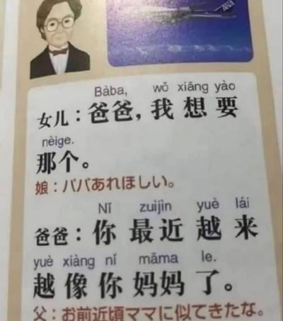 这是一张采用对外汉语教材格式的黑色幽默梗图，画面上方有戴眼镜的卡通爸爸头像和一架飞机的图片，下方是中、汉语拼音、日语三语对照的对话：
女儿：爸爸，我想要那个。（指向图中的飞机）
爸爸：你最近越来越像你妈妈了。

这个梗的核心是黑色幽默：女儿想要的飞机暗示是妈妈失事的那架飞机，爸爸的回应隐晦地暗示妈妈已经在这架飞机事故中离世，女儿的诉求触碰了这个悲伤的点，形成荒诞的冷幽默效果。