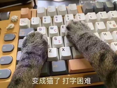 这张图呈现了一只虎斑猫的两只爪子搭在机械键盘的字母输入区域，正好挡住了常用的打字按键，画面下方配有文字“变成猫了 打字困难”。用拟人的手法，将猫捣乱键盘的日常场景，转化为“自己变成猫后打字不便”的搞笑吐槽，精准戳中打工人被打断工作、或是摸鱼不想干活的无奈心态，画面充满治愈感和笑点，很容易引发养猫人和打工人的共鸣。