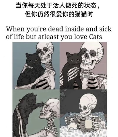 这是一张四格漫画风格的梗图，上方配有中英文文字说明：'当你每天处于活人微死的状态，但你仍然很爱你的猫猫时'和'When you're dead inside and sick of life but atleast you love Cats'。四格画面分别展示了骷髅与猫咪的温馨互动：左上骷髅拥抱黑猫，右上骷髅抱着黑猫，左下黑猫用爪子触碰骷髅的脸，右下骷髅躺在床上，身边有一只橘白相间的猫，手里还拿着一个杯子。整体风格以黑色幽默的方式表达了即使内心疲惫，对猫咪的爱依然不变的情感。