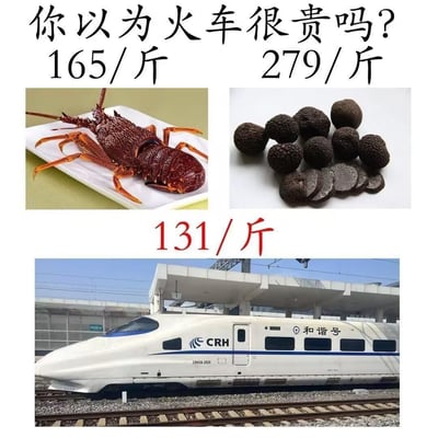 图片以“你以为火车很贵吗？”为标题，通过对比展示三种物品的单价：左上角为165元/斤的龙虾，右上角为279元/斤的黑松露，下方为131元/斤的和谐号高铁列车。通过将高铁与高价食材按“斤”计价对比，形成幽默调侃效果，暗示高铁相对这些奢侈品而言“价格更低”。