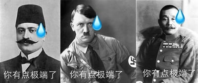 这是一张由三张历史人物黑白肖像照拼接而成的P图改编梗图，从左到右依次是恩维尔·帕夏、阿道夫·希特勒、东条英机，三人的额头都被添加了代表尴尬、心虚的流汗表情符号，每张图下方都配有相同的文字“你有点极端了”。用轻描淡写的评价来对应这三位在历史上以极端行为著称的人物，形成强烈的反差感，达到讽刺、调侃的幽默效果。