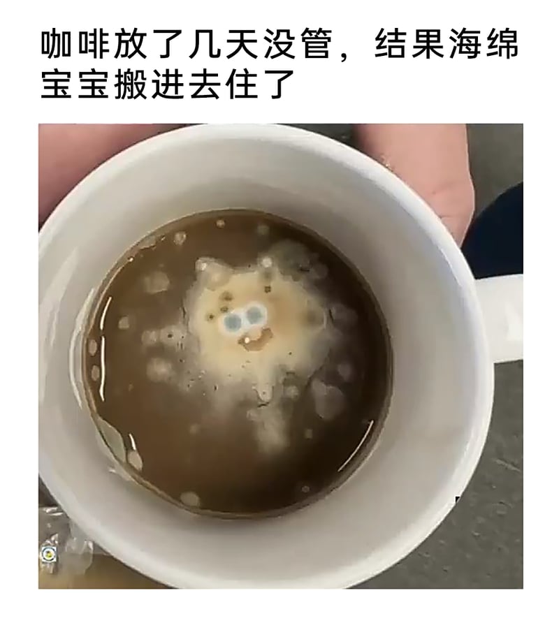 《海绵宝宝》动画改编