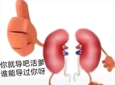这是一张P图改编的卡通风格静态梗图，图中将两个肾脏进行拟人化创作，给它们添加了手臂与双腿，做出叉腰的抱怨姿态，旁边还有一个竖起大拇指的拟人化手掌，以反讽的姿态配合文字内容。图中配文“你就导吧活爹 谁能导过你呀”运用了双关谐音梗，“导”一方面对应肾脏的排泄代谢功能，另一方面谐音“造”（折腾、消耗），以幽默的语气让拟人化的肾脏抱怨主人过度消耗身体，导致肾脏长期超负荷工作，用夸张搞笑的方式调侃人们熬夜、纵欲等损害肾脏的行为，侧面提醒人们关注身体健康。