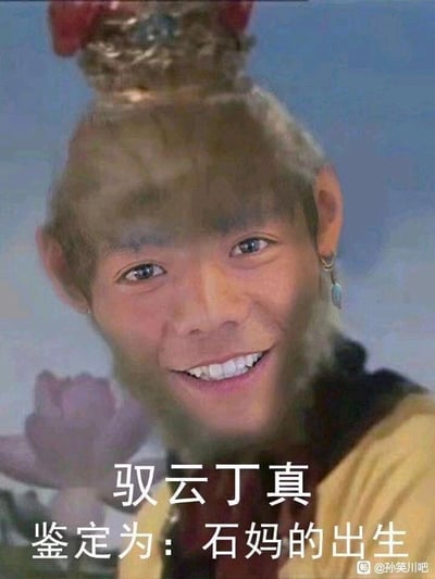 这是一张网络恶搞合成表情包，创作者将公众人物丁真的脸部图像，合成到86版电视剧《西游记》中孙悟空的身体上，孙悟空保留了头戴紧箍、身穿黄色戏服的经典造型，背景有模糊的粉色莲花图案。图片下方配有文字“驭云丁真 鉴定为：石妈的出生”，其中“驭云丁真”是谐音梗，结合孙悟空驾云的能力与丁真的名字制造笑点；“石妈的出生”是低俗网络脏话的谐音变体，用来进行恶搞讽刺，整体风格戏谑低俗，属于网络亚文化中的恶搞创作。