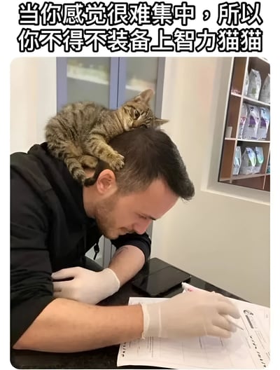 图片中一名戴白色手套的男子正伏案在纸上写字，一只虎斑猫乖巧地趴在他的头顶，前爪轻轻搭在他的头部两侧。图片上方配有文字“当你感觉很难集中，所以你不得不装备上智力猫猫”，以幽默的方式将猫咪比作提升专注力的“装备”，展现了人与宠物间温馨又搞笑的互动场景。