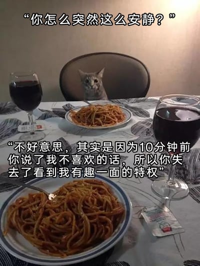 这是一张充满趣味的实拍梗图，画面呈现了一只猫咪坐在餐桌的椅子上，面前的餐桌上铺着带有花纹的桌布，摆放着两份意面和两杯红酒，营造出猫咪与人共进晚餐的场景。图片配有两段拟人化的中文对话，上方是他人的提问：“你怎么突然这么安静？”，下方是猫咪的回应：“不好意思，其实是因为10分钟前你说了我不喜欢的话，所以你失去了看到我有趣一面的特权”，将猫咪拟人化，生动地表现出被冒犯后闹小脾气、开启冷战模式的情绪，精准还原了人们在生活中产生小情绪时的状态，十分诙谐有趣。