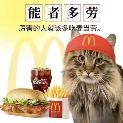 这是一张玩谐音梗的趣味合成图，画面右侧是一只戴着麦当劳标志红色发带的长毛真实猫咪，它表情平静严肃，看向镜头；画面左侧摆放着麦当劳的鸡肉汉堡、薯条，还有一杯可口可乐饮品，背景是麦当劳的金色M标志。图上方是田字格样式的“能者多劳”四字，下方配文“厉害的人就该多吃麦当劳”，将成语“能者多劳”谐音玩梗，替换成“能者多吃麦当劳”，用可爱的猫咪结合快餐品牌元素，制造出幽默的效果，适合用来调侃或表达对麦当劳的喜爱。