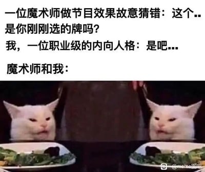 这是一张顶配底文的搞笑meme图，上方文字构建了一个极具共鸣的场景：魔术师为了制造节目效果，故意猜错观众选中的牌；而身为“职业级内向人格”的“我”，明明清楚魔术师的错误，却因为内向的性格，不想拆穿对方、打破当前的场面，只能含糊地附和“是吧...”。下方的配图是两只被人架在餐桌前的白色猫咪，它们表情尴尬局促，嘴角下撇、眼神闪躲，精准地还原了魔术师和“我”此时的状态——一个圆场失败，一个勉强配合，两人都陷入了尴尬又不得不硬撑的社死氛围中，生动戳中了内向者不愿拒绝、不想引发冲突的心理特点，让人忍俊不禁。